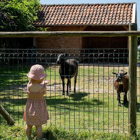 Hoeve De Binnenplaets Schimmert מראה חיצוני תמונה