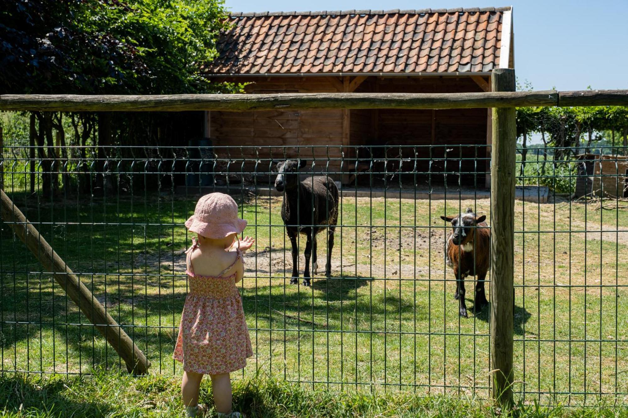 Hoeve De Binnenplaets Schimmert מראה חיצוני תמונה
